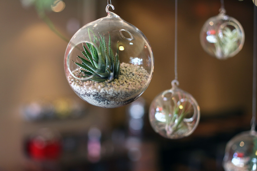 http://www.naseemakhan.com/files/gimgs/6_roamdecor1.jpg